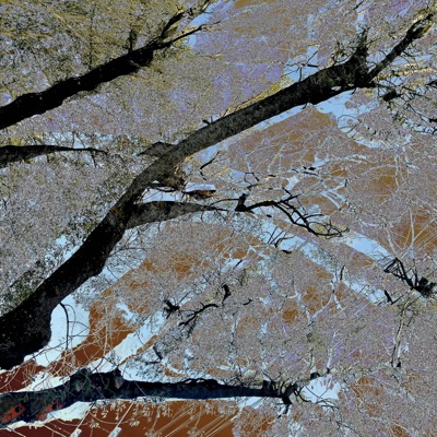 Arrullo de lluvia cover