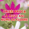 La multi ani nume de floare ( FLORII )