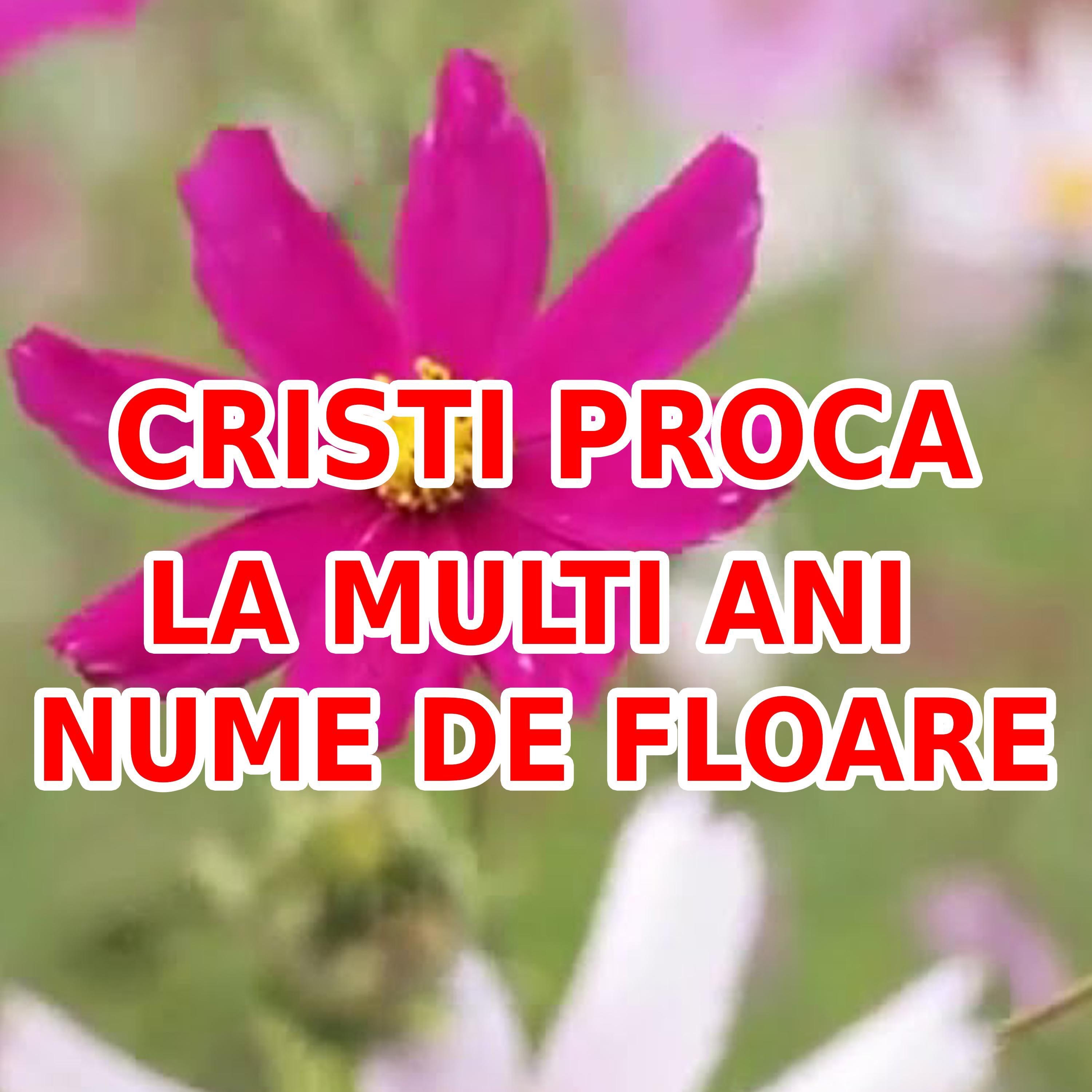 La multi ani nume de floare  FLORII  - Single