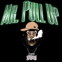 Mr Pull Up - Fifty600