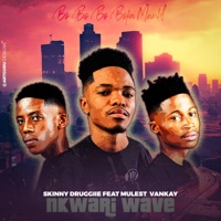 Nkwari Wave (feat. Mulest Vankay) - Single - Skinny Druggiie