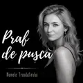 Praf de pușcă