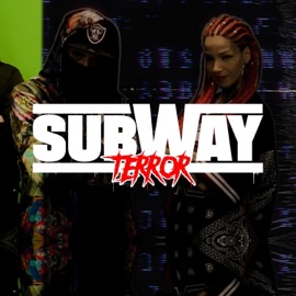 Old to the New (feat. Lil Aiden) Subway Terror
