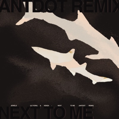 Next To Me (Antdot Remix) - Single