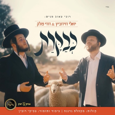 כבקרת (feat. יואלי דוידוביץ & מקהלת נרננה) - Single