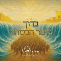 ברוך שומר הבטחתו - Single - David Taub, חברותא & Moshe Schneider
