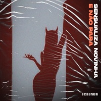 Sensualiza Novinha e Não Para - Single - DJ DZS & DJ Pablo RB