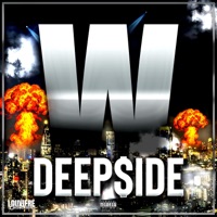 W - DEEP$iDE