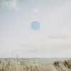 Fields