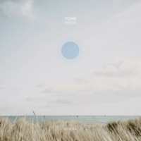 Fields - Single - TOMB