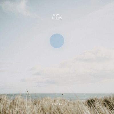 Fields - Single
