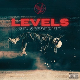 Levels (feat. 0072Bri3x) Asaiya
