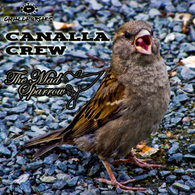 Canalla Crew - Single