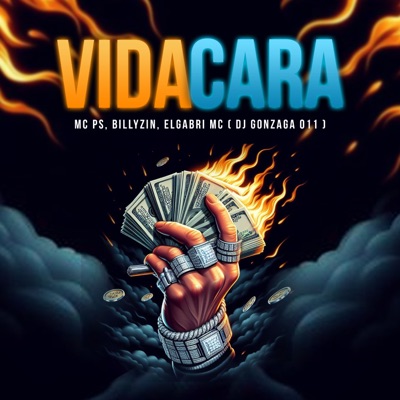 Vida Cara (feat. dj gonzaga 011) - Single