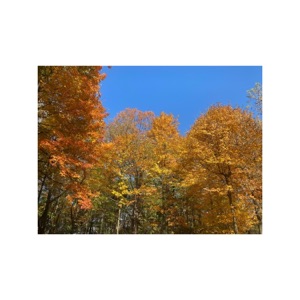 fall... then, fall in love :) - EP