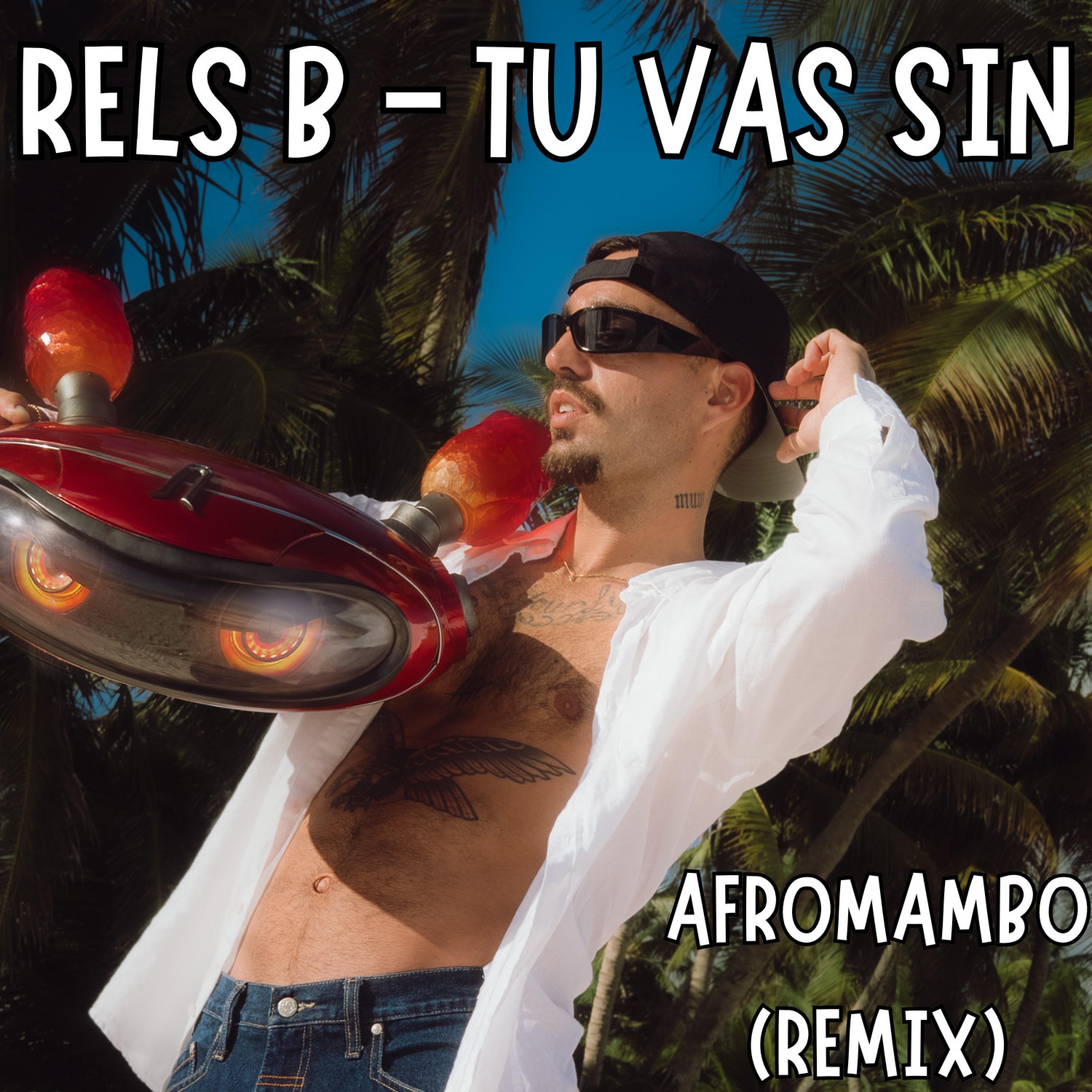 TU VAS SIN (AfroMambo Remix) - Single