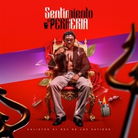 SENTIMIENTO & PERRERIA - EP - Calixteo