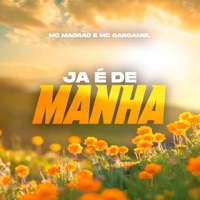 Ja É de manhã - Single - Mc Magrão & Mc Gargamel