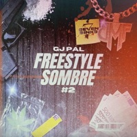 Freestyle Sombre #2 - Single - Gj Pal