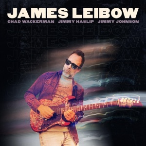 The Big Bounce (feat. Chad Wackerman, Jimmy Haslip & Adam Michaelson) - Single
