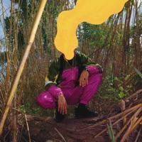 Babylon burns (feat. Solomon B) - Single - Sasha Shinezz