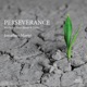 Perseverance feat Denis Kucherov Steve Tromans Single EP