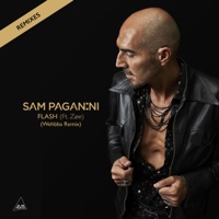 Flash (feat. Zøe) [Wehbba Remix] - Single - Sam Paganini
