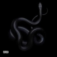 VIPERA - Single - DILE