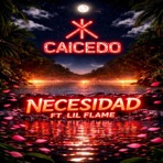 Necesidad (feat. Lil Flame) - Single