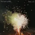 Dumb Luck