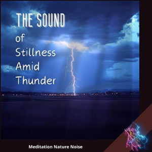 The Sound of Stillness Amid Thunder