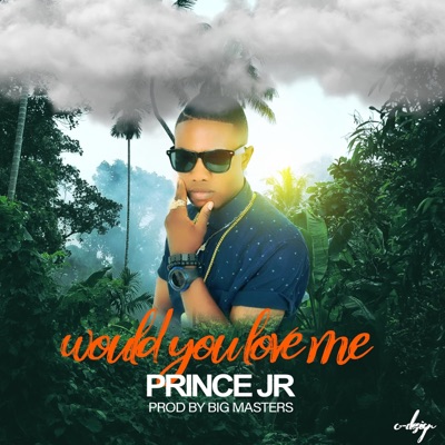 Would You Love Me - Single