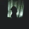 Hollow Grounds