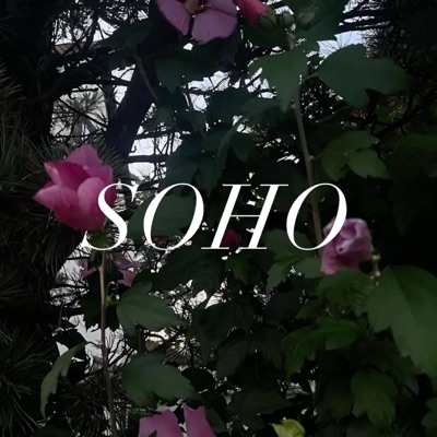 soho (feat. bradraco) - Single