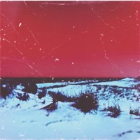 KINGDOM - Single - LETHVLZ