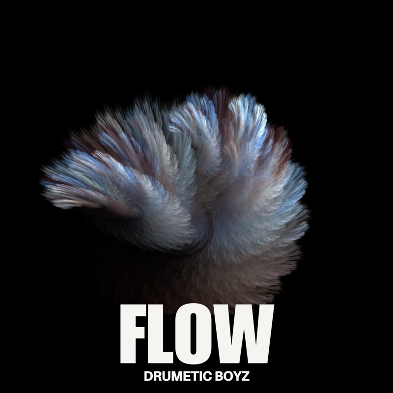 Album art for Flow