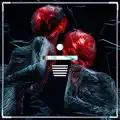 Music 4 Ur Body