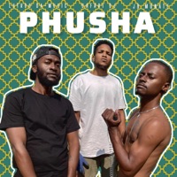 Phusha (feat. Safari DJ & JB Monate) - Single - Lutroo Da-Music