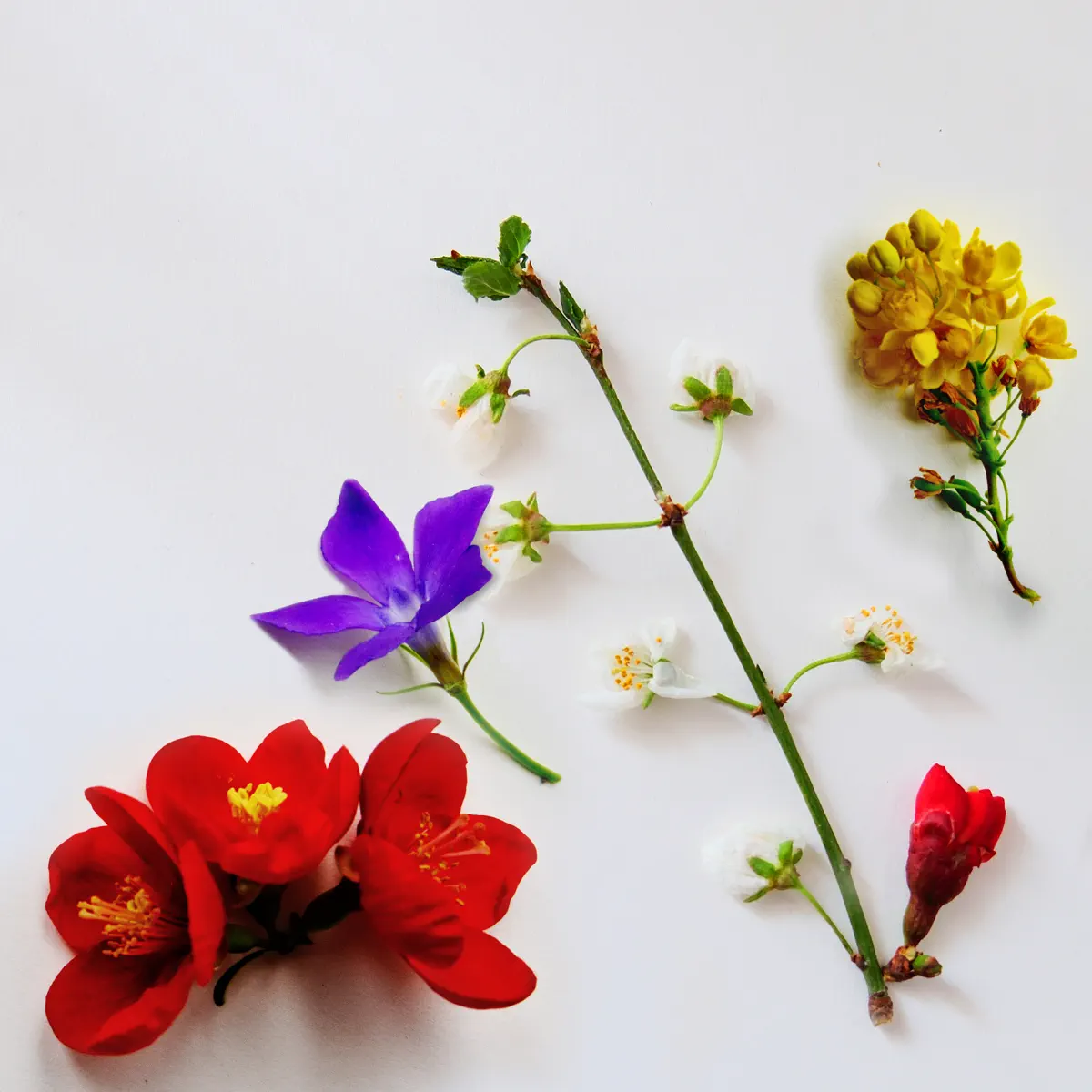 Chris James - I'm Done - Single (2024) [iTunes Plus AAC M4A]-新房子