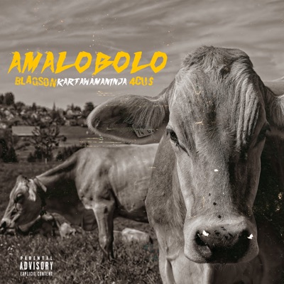 Amalobolo (feat. KartaWamaninja & 4cu$) - Single