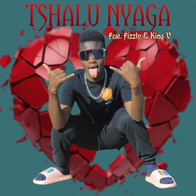 Tshalu nyaga (feat. Fizzly & King V) - Single
