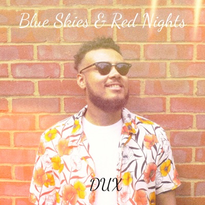 Blue Skies & Red Nights - Single