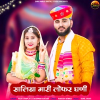 Saliya Mari Lofar Ghani - Single - Raju Chapla & Lakshman Gurjar
