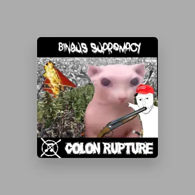 Listen to TRASHBABYDISRTO, watch music videos, read bio, see tour dates & more!