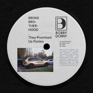 They Promised Us Ponies - EP