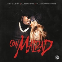 CON MALDAD (feat. LA CINTUMBARE) - Single - ANDY CALIENTA