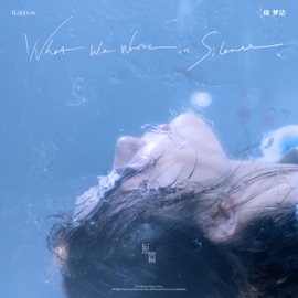 What We Wrote in Silence 徐梦洁
