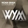 Look For Me (Extended)