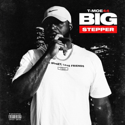 Big Stepper - Single