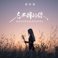 忘不掉的你 - Single - 唐梓夏